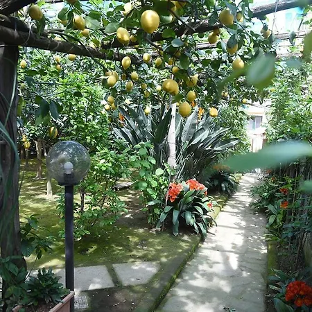 Anthea Отель типа 