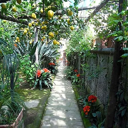 Bed & Breakfast Anthea Sorrento